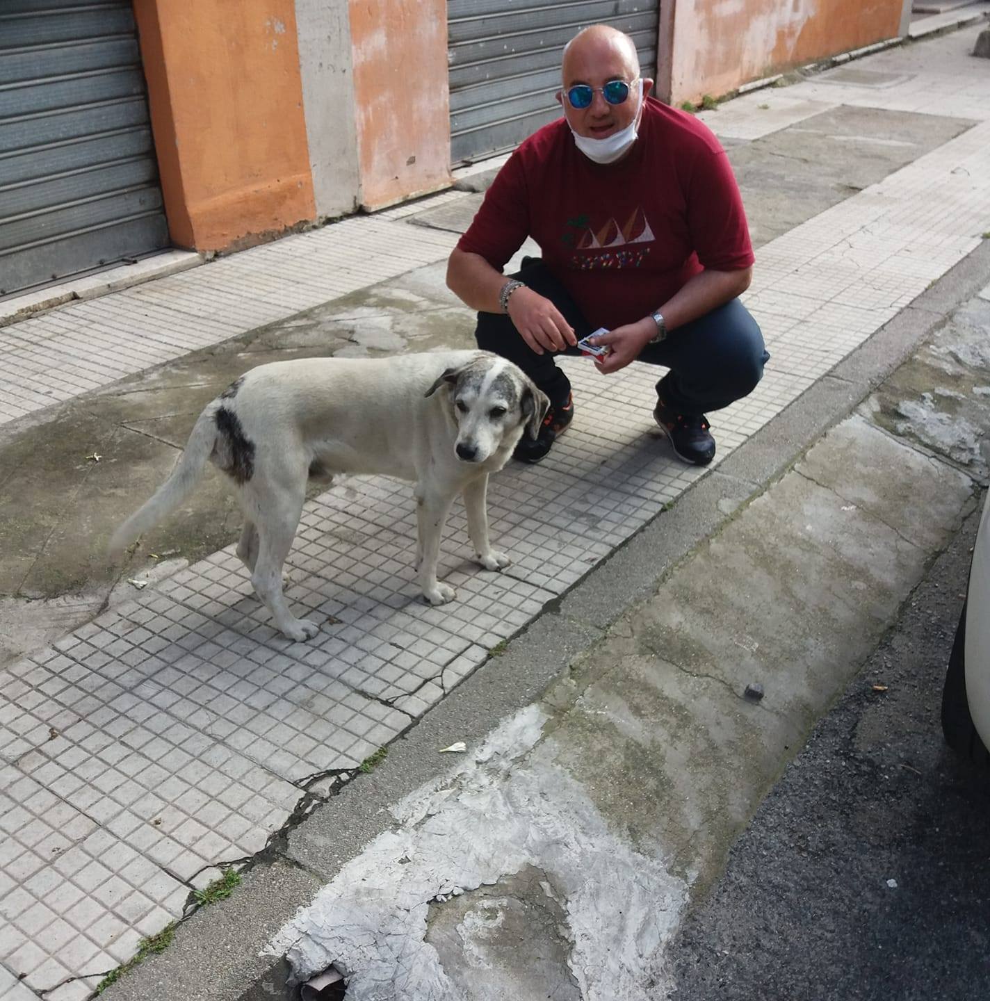 Colombo Terapia, Cane Terapia, Gatto Terapia, Ecc Dott e prof Vinc Pedullà