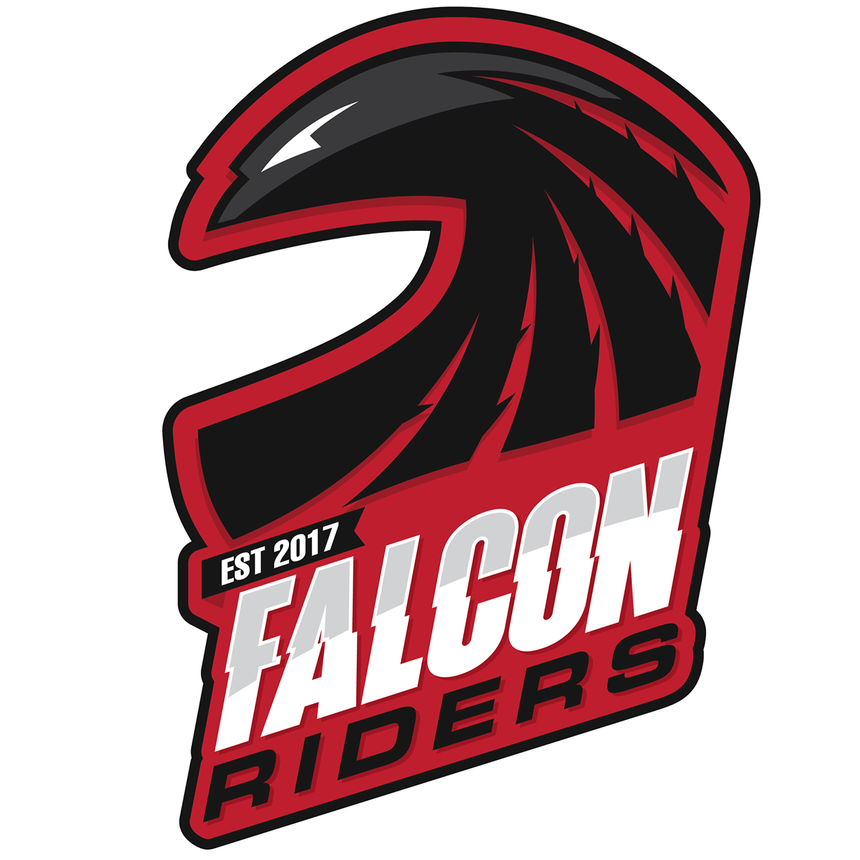 Falcon Riders Davao