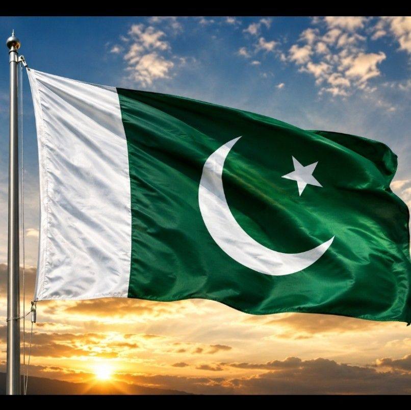 Piplan tractors.پپلان ٹریکٹر | Piplan