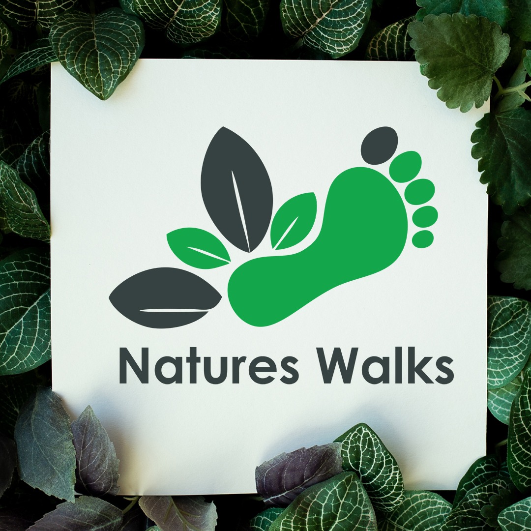 Natures walks | Rishikesh