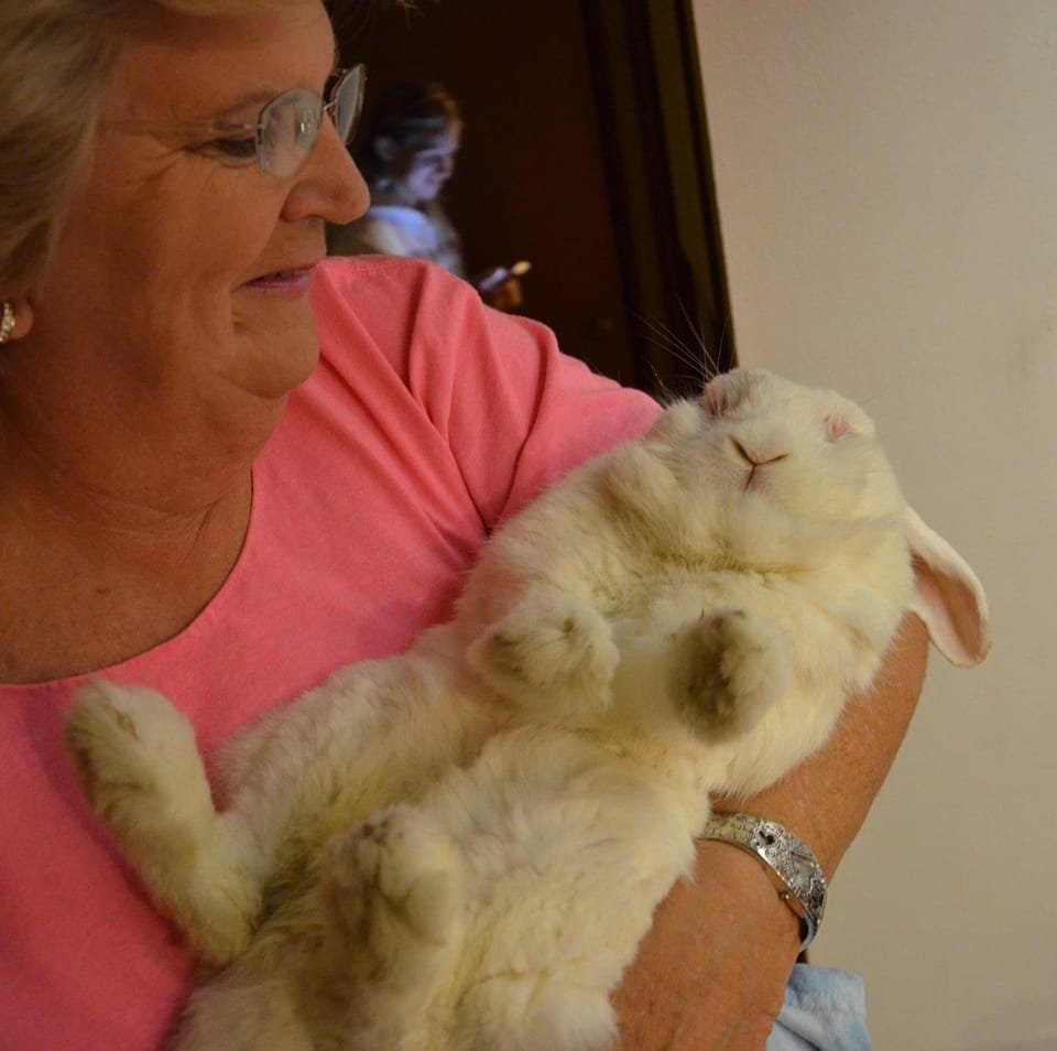 Friends of the Floppy-Eared Lops | Looking for some advice on my ...