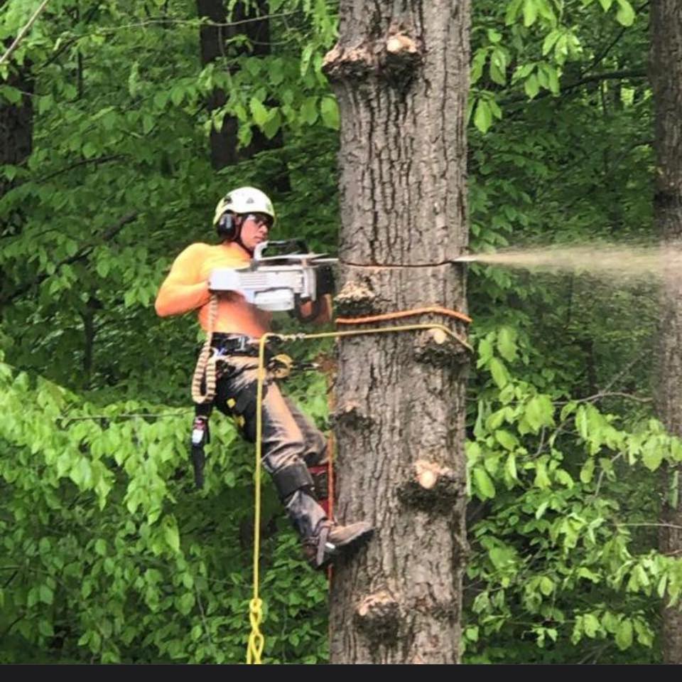 E.P.R Tree & Multi Services LLC | Westminster MD