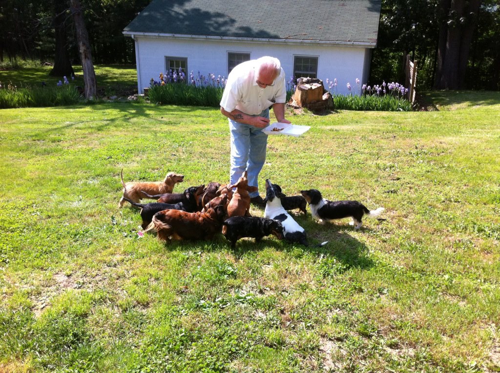 Dachshund Ranch