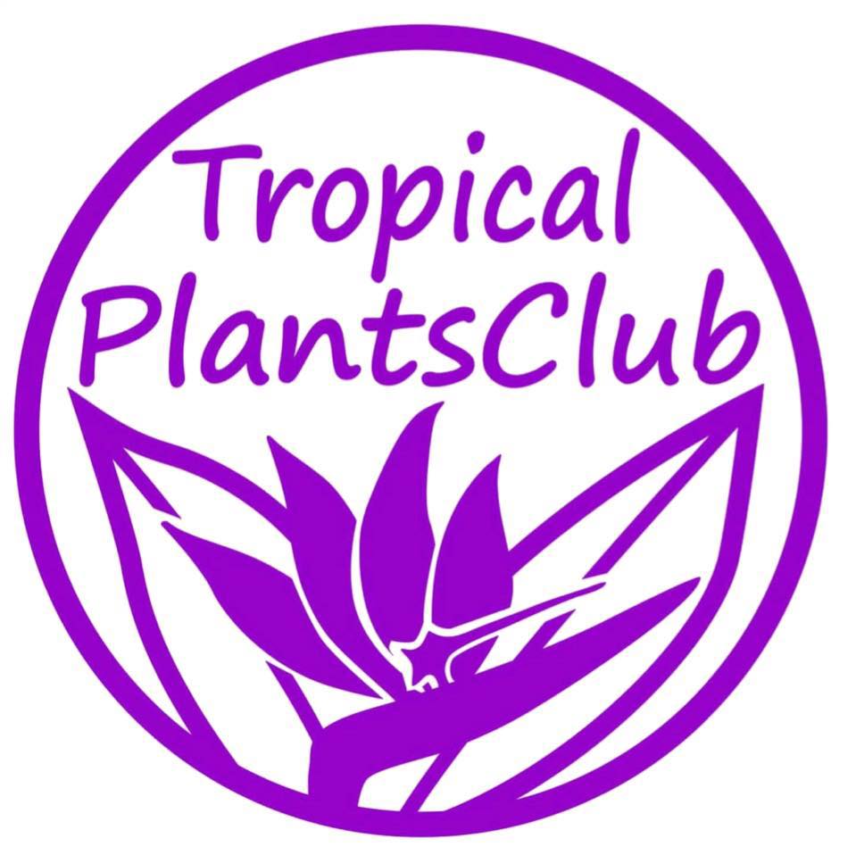 トロピカルプランツクラブ｜Tropical Plants Club | Sodegaura-shi Chiba