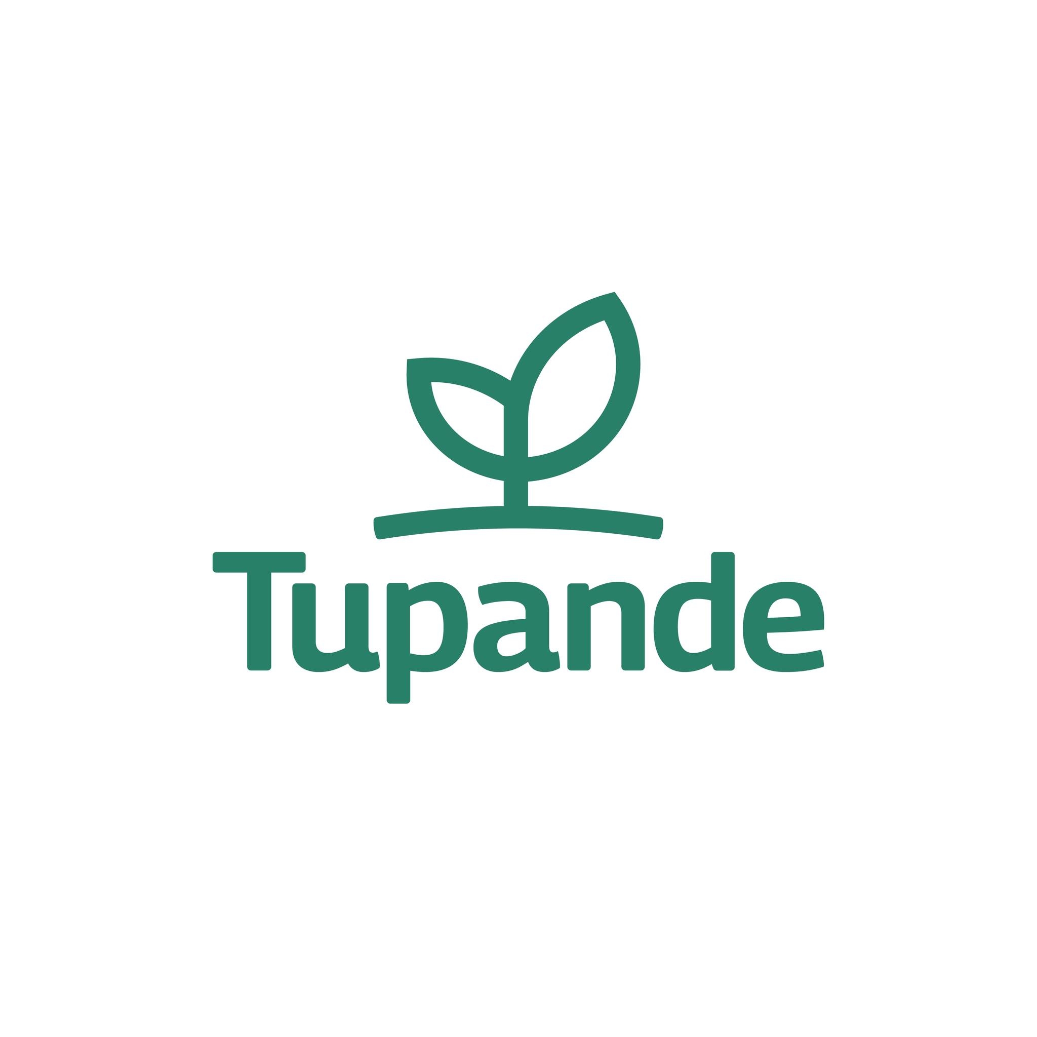Tupande - 🌿 Seedlings Available at Tupande Nurseries🌱 You... | Facebook