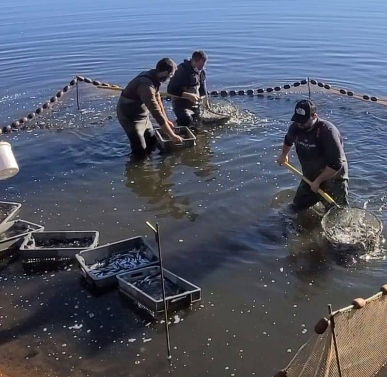 Pisciculture du Brionnais | La Clayette
