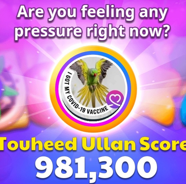 Touheed Ullan Touheed Ullan