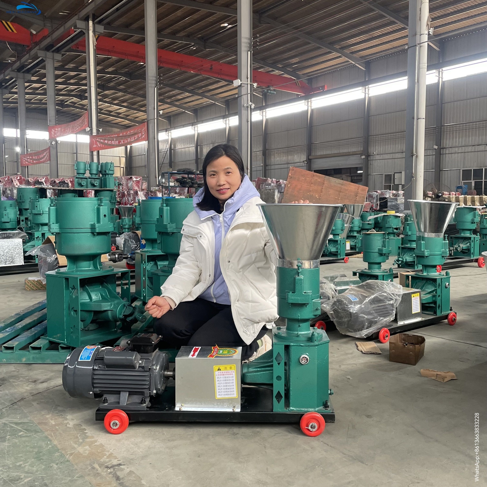GEMCO Pellet Mill & Briquetting Machine | Feed pellet machine ...