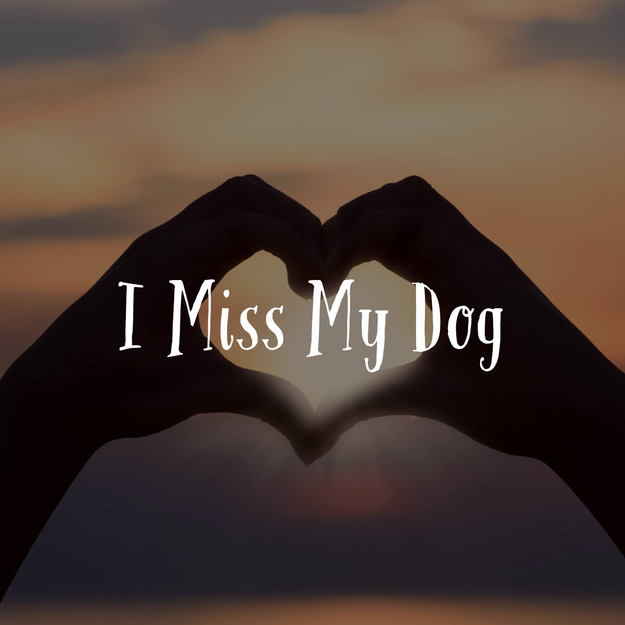 I Miss My Dog
