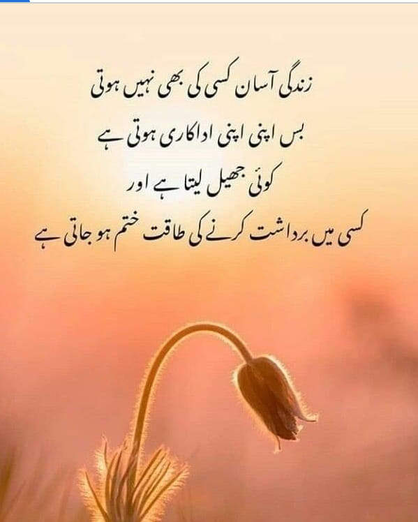 Rana Naeem