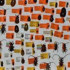 Entomological Research Publishers | Downey CA