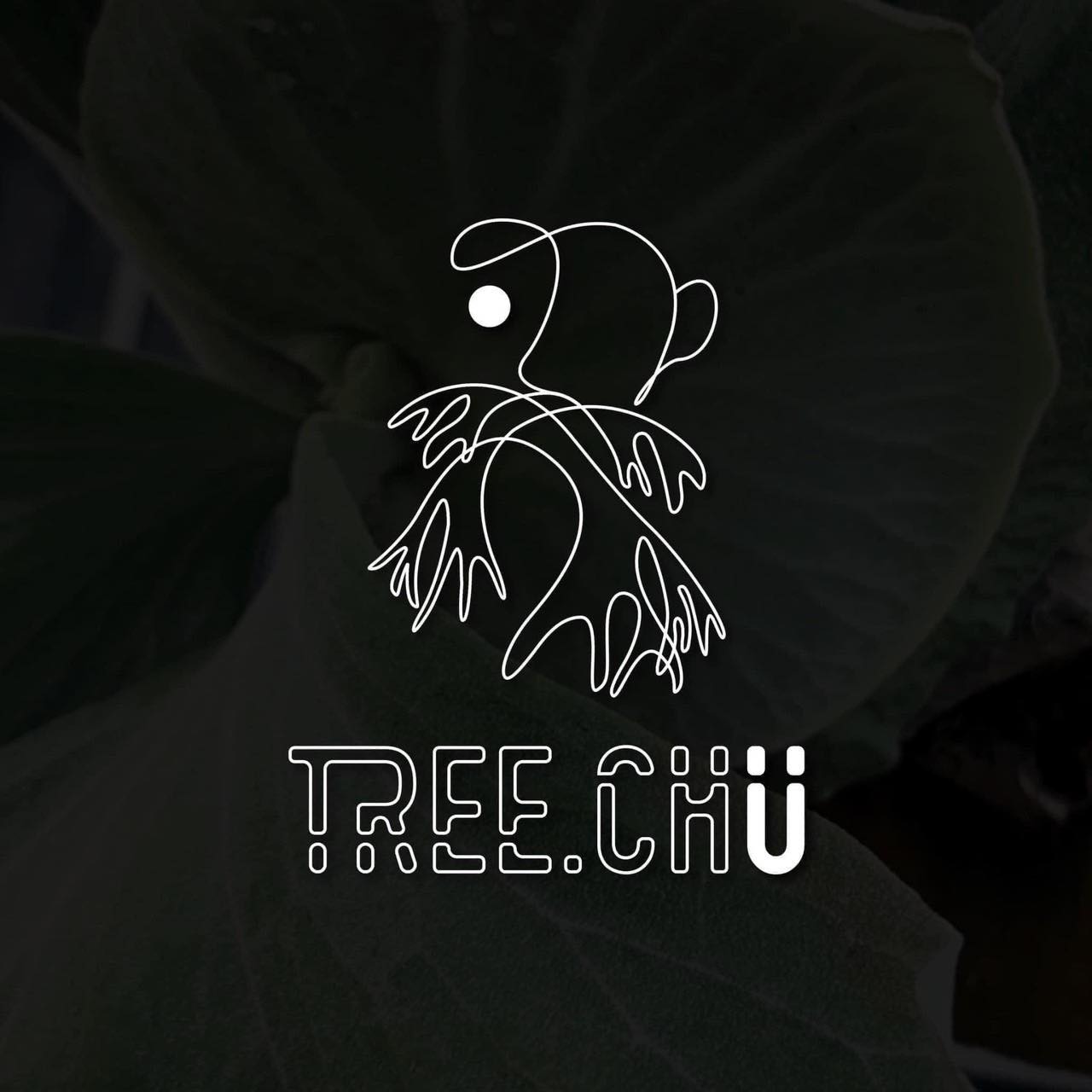 TREECHU | Bade District