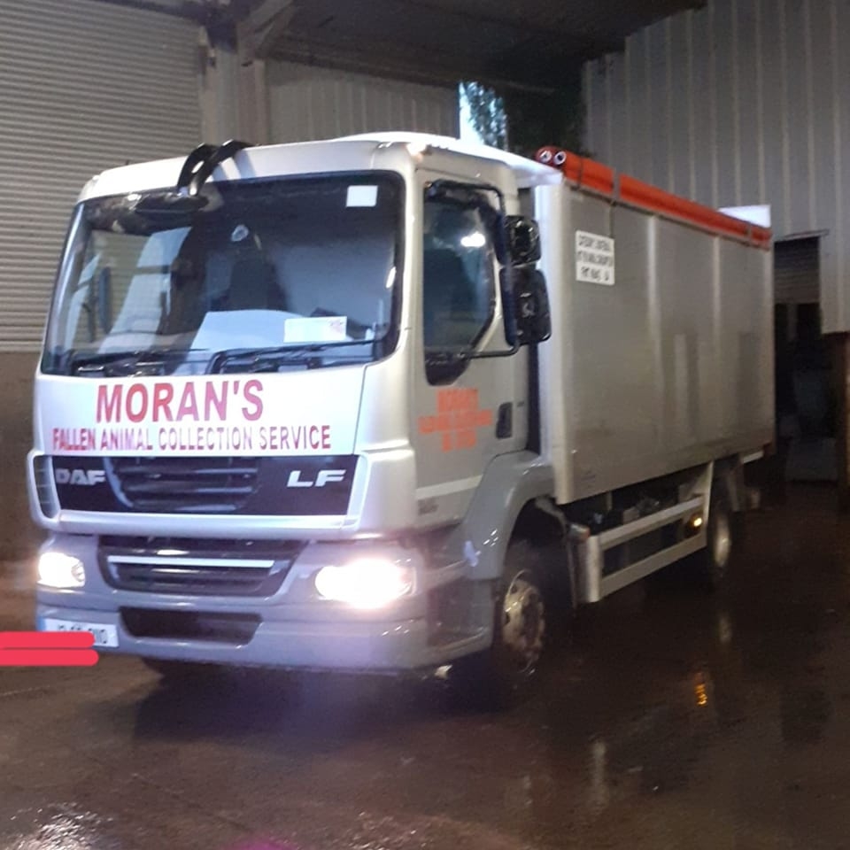 Moran & sons fallen animal collection service Ltd | Sligo