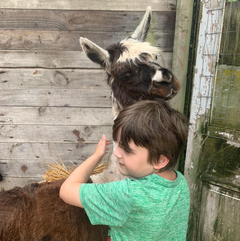 Finding Freedom Farms | Bernville PA