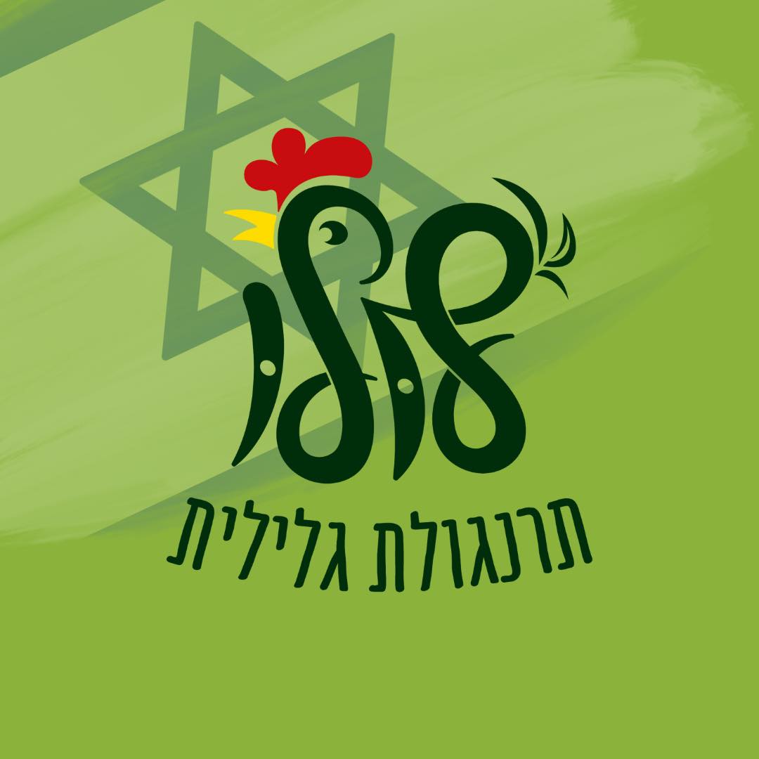 לולו - תרנגולת גלילית
