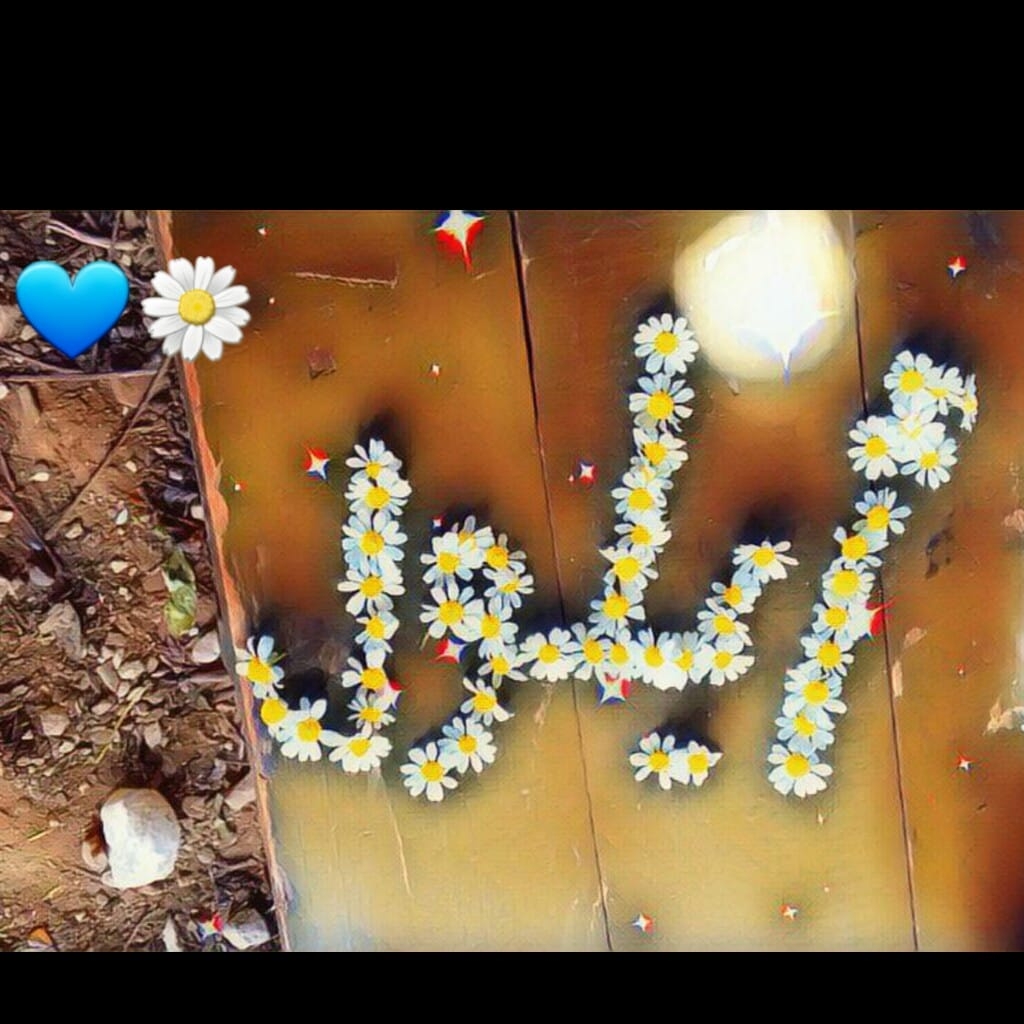AyloOl_إيلول
