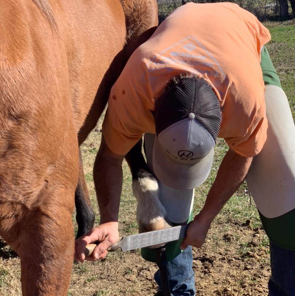 4L Farrier Service