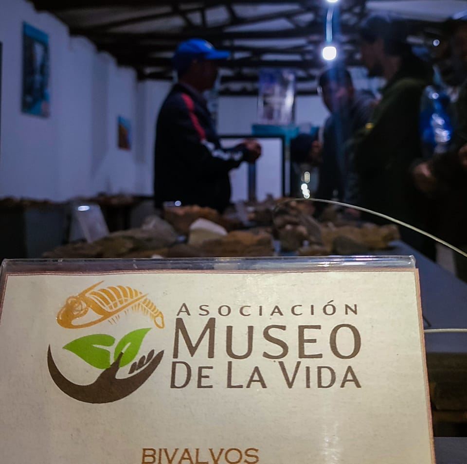 Asociación Museo de la Vida AMV | Floresta