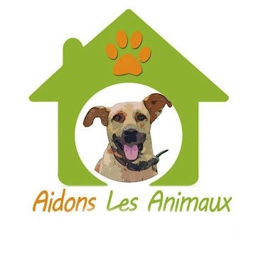 Aidons Les Animaux Help A Greek Stray
