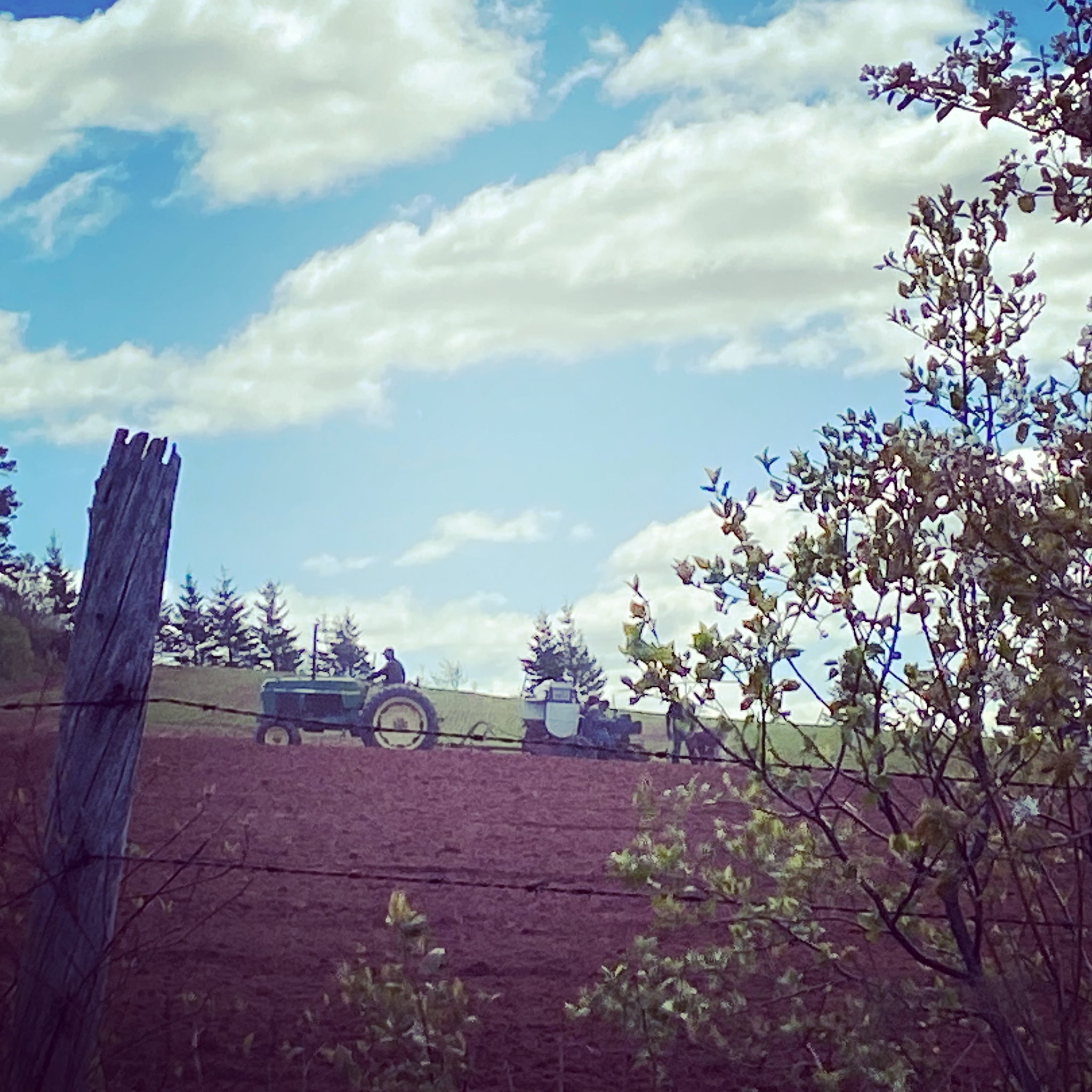 Hidden Ridge Acres