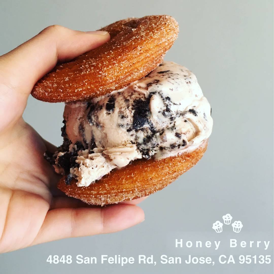 Honey Berry Evergreen | San Jose CA
