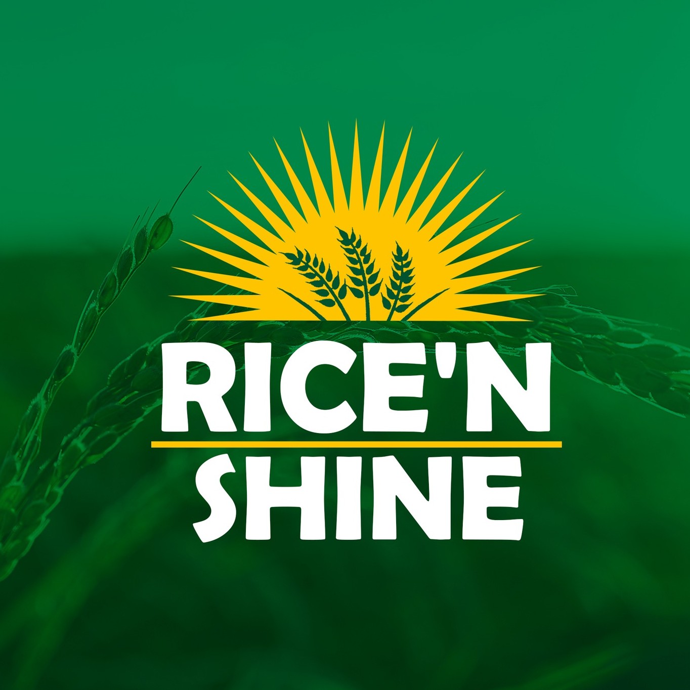 Sinandomeng Rice Price Comparison