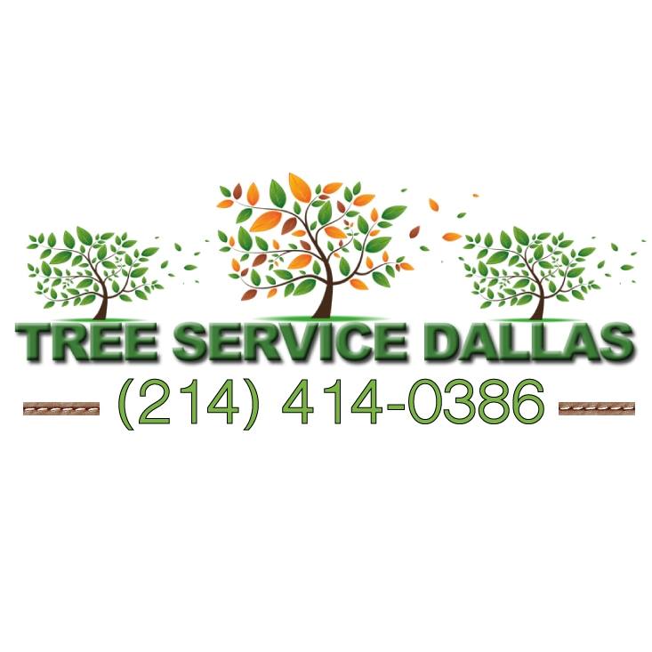 Tree Service Dallas | Dallas TX