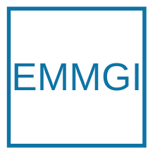 Formation Emmgi