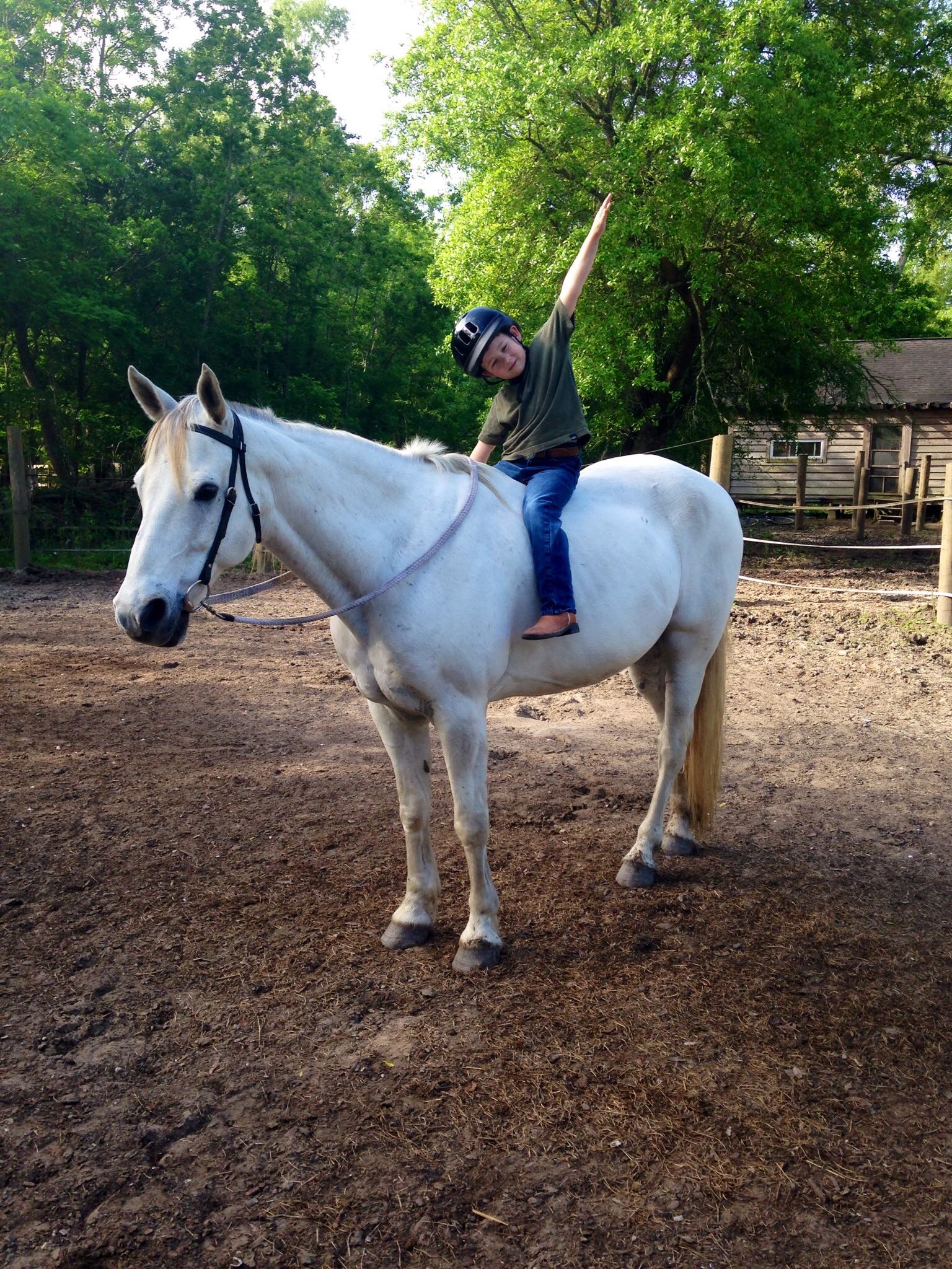Good Horse LLC - Private Beginner Riding Lessons