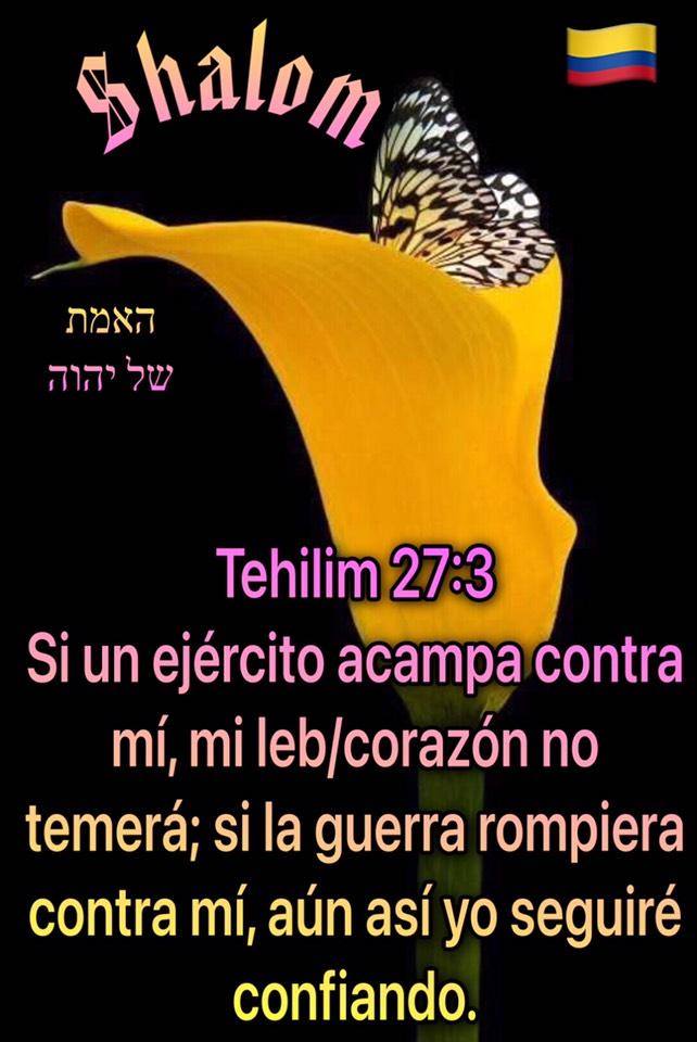 La Emeth De Yahweh Tzebaoth | Coacalco