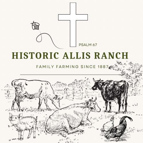 Historic Allis Ranch | Larkspur CO