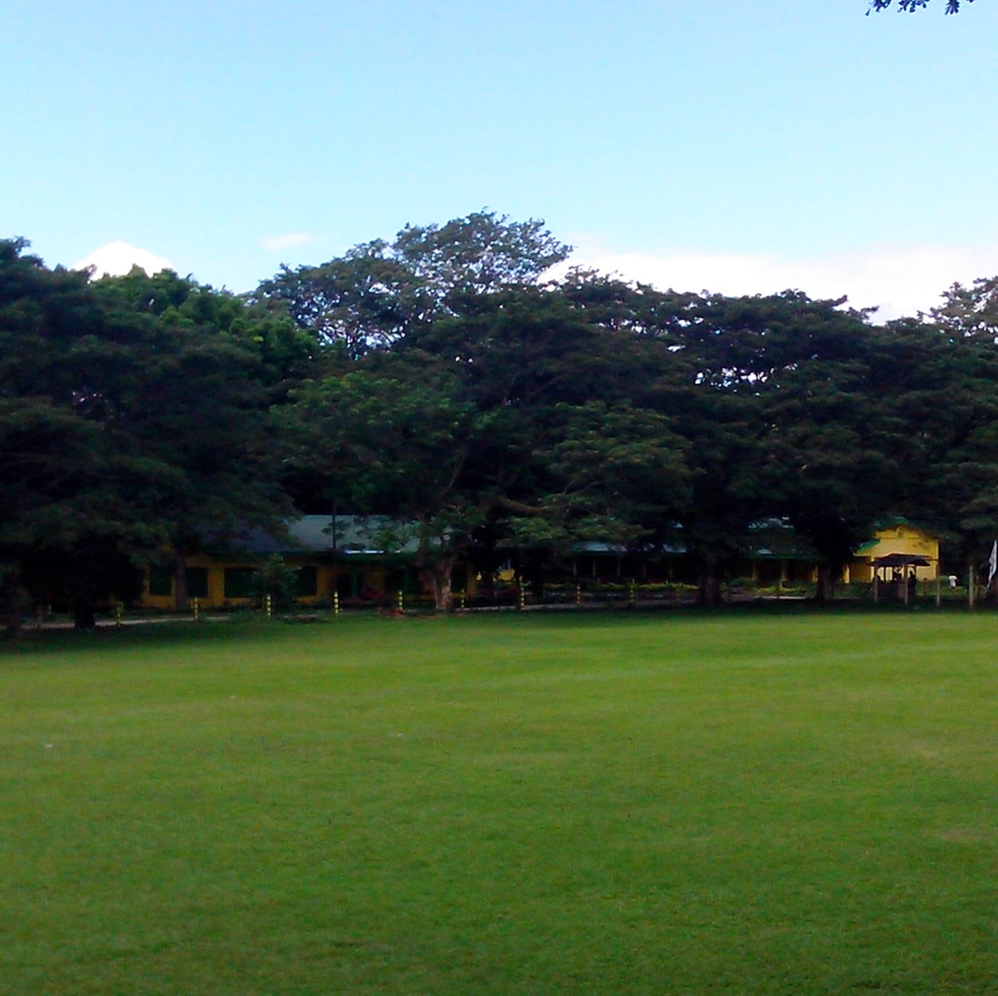 Msu-Lnac Spectator