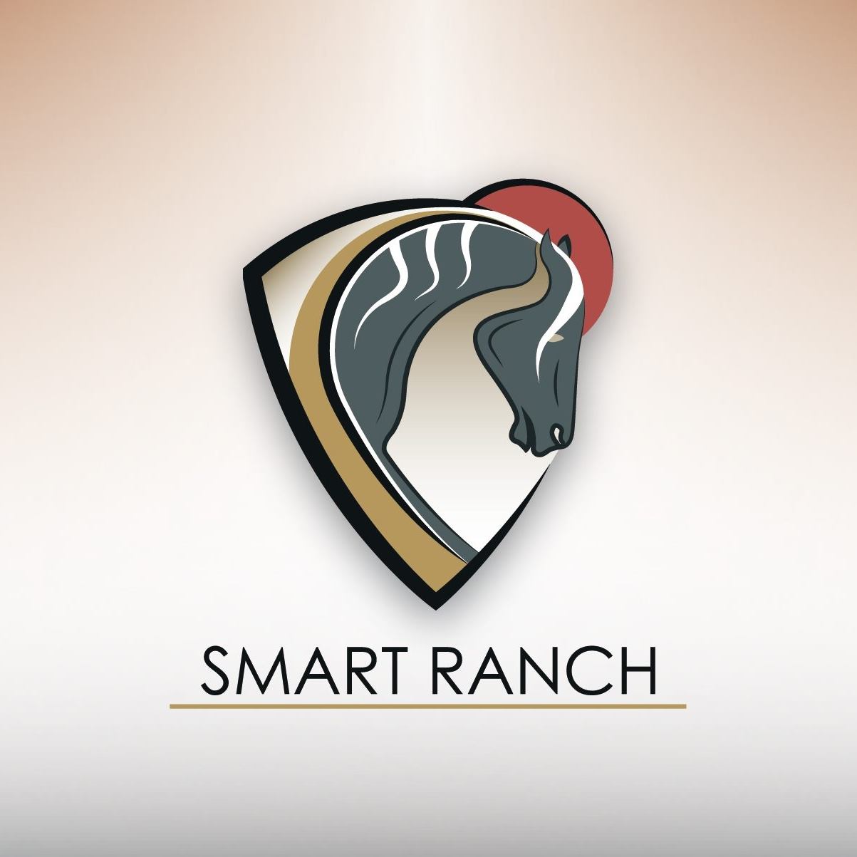 Smart ranch - SK Smart Einstein. Náš plemenný hřebec. Krasavec k ...