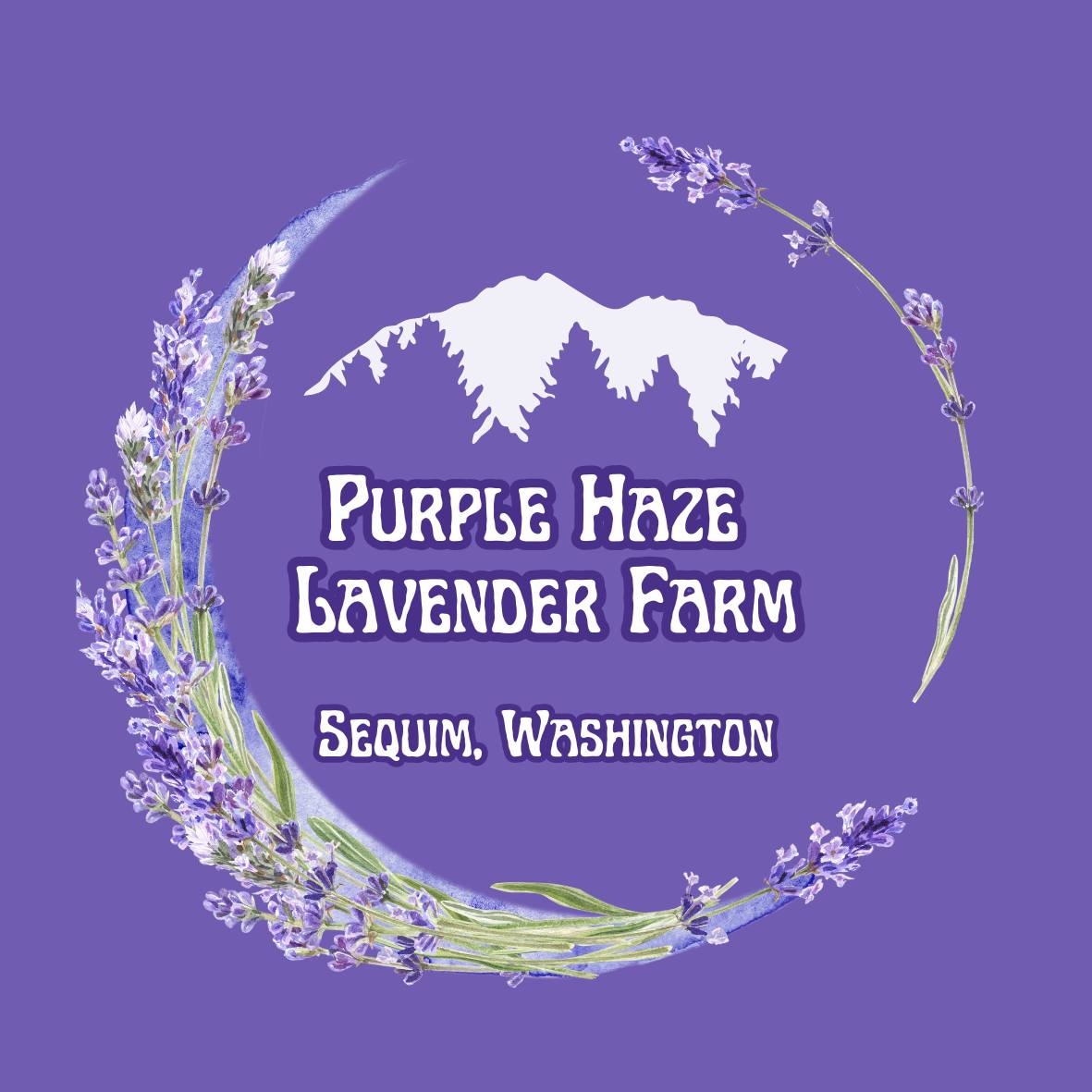 Purple Haze Lavender Farm | Sequim WA