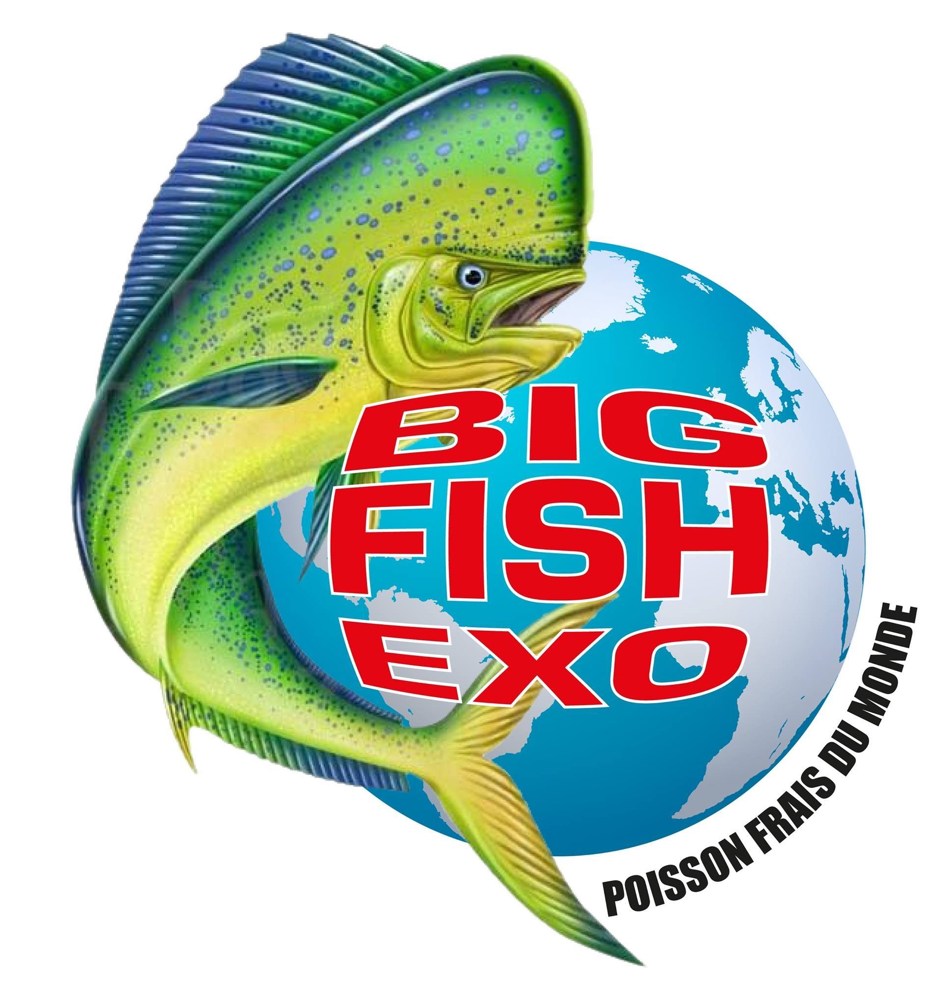 BIG FISH EXO