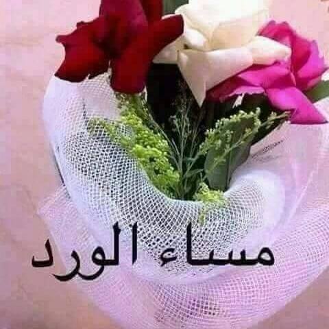 ام سبأ