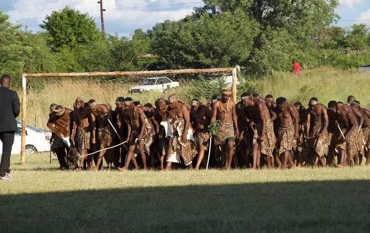 Tshikona tsha Rambuda
