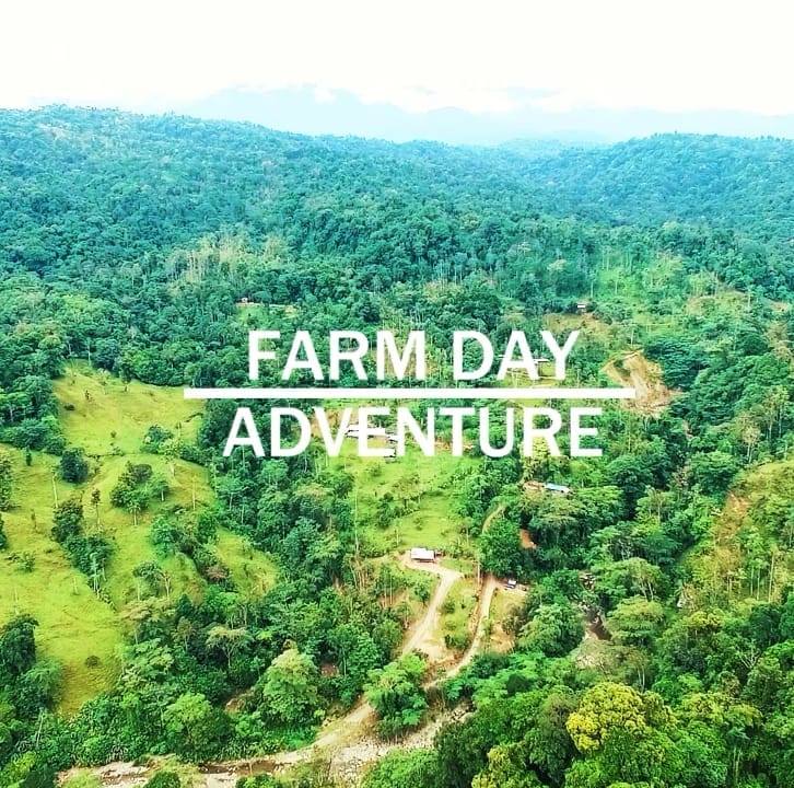 FARM DAY