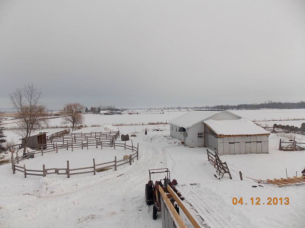 Josy's Ranch