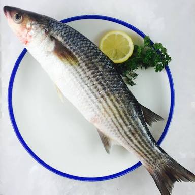 فسيخ بوري - Mullet fsykh