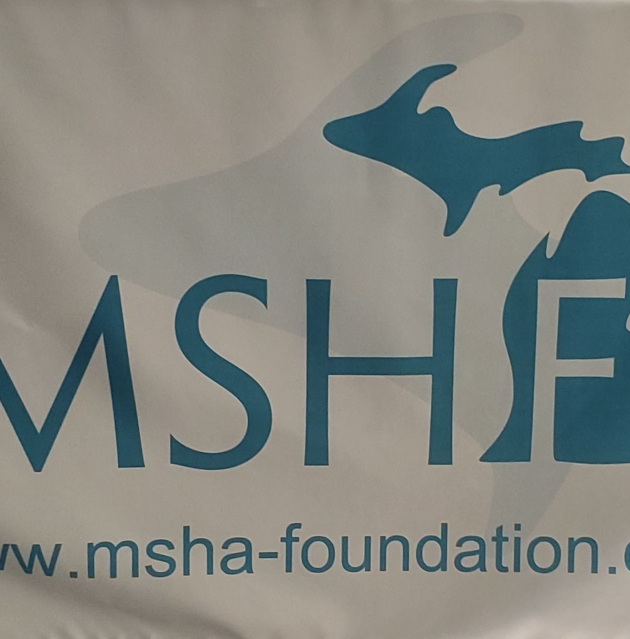 Michigan Speech Language Hearing Foundation - MSHF
