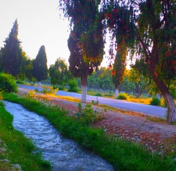 کلیواله مینه