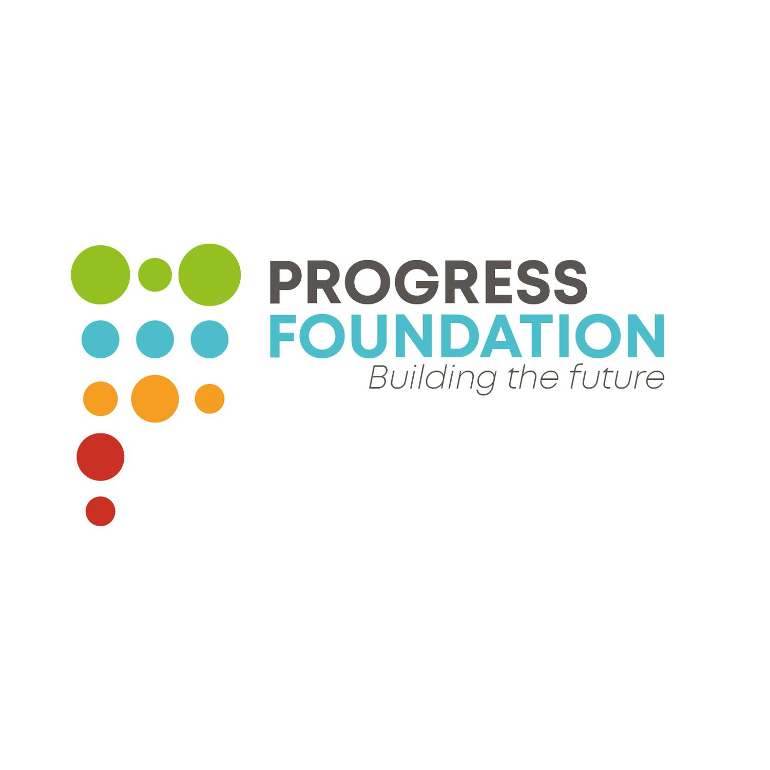 PROGRESS Foundation - Dita nderkombetare e Rinise na gjeti ne aksion ...