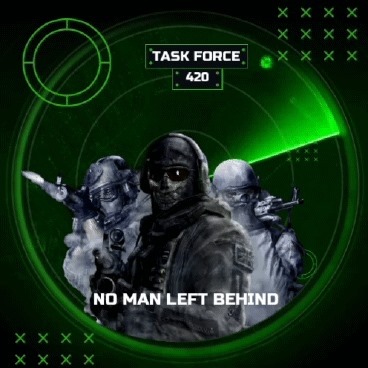 TASK FORCE 420