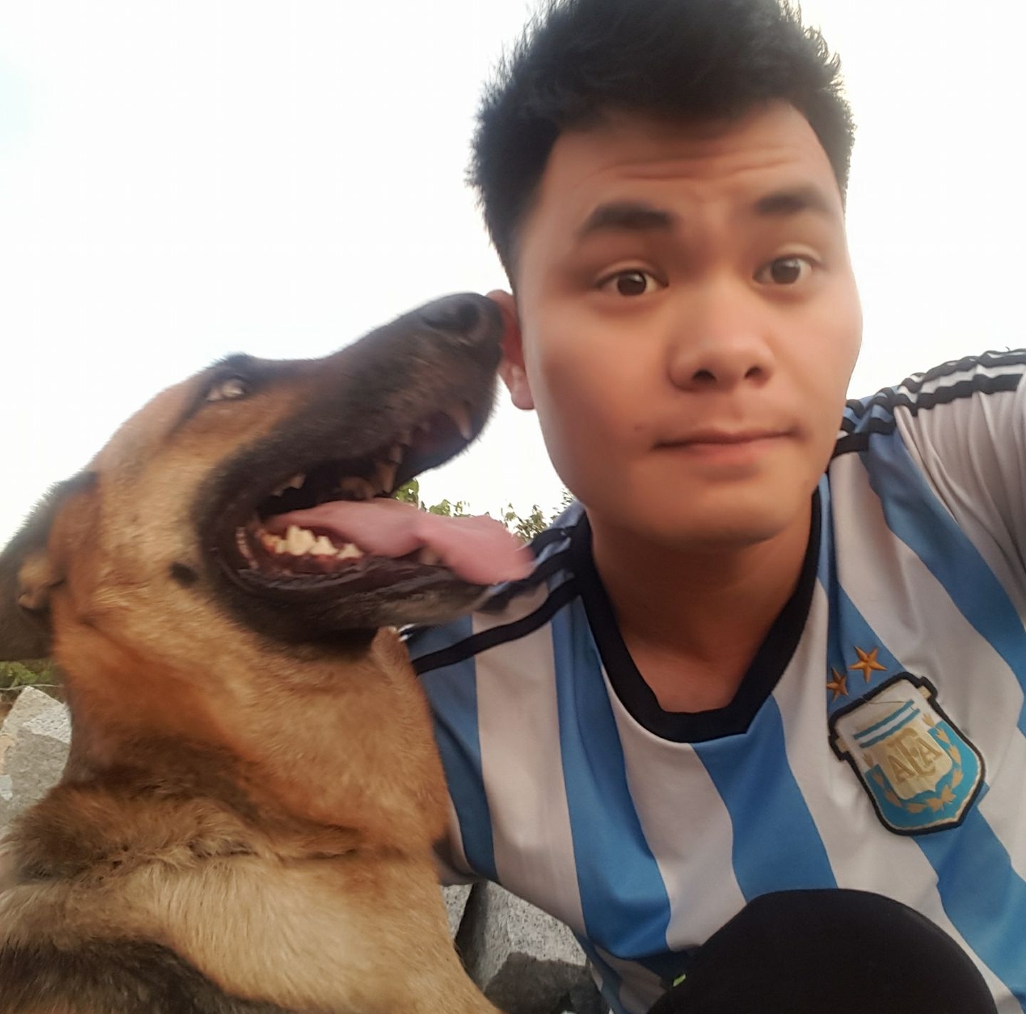 Trại chó Becgie Boy Bin - Bà Rịa Vũng Tàu