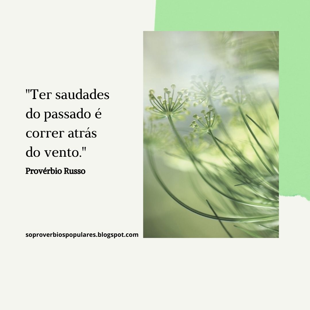 Frases Mensagens E Poesias Ter Saudades Do Passado E Correr Atras Do Vento Proverbio Russo Facebook