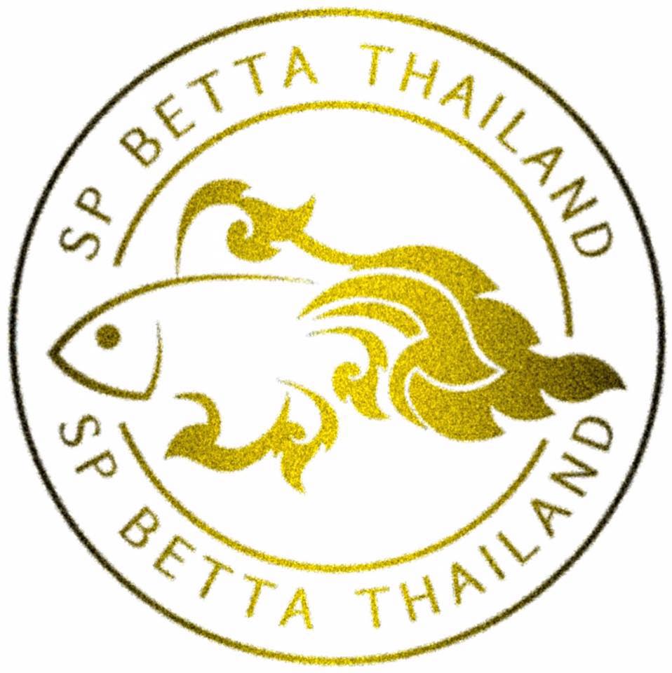 SP Betta