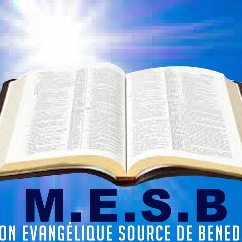 MESB - France