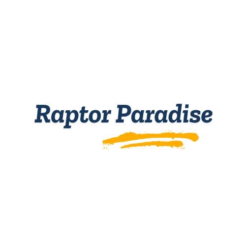 Mr Raptor | Taxila
