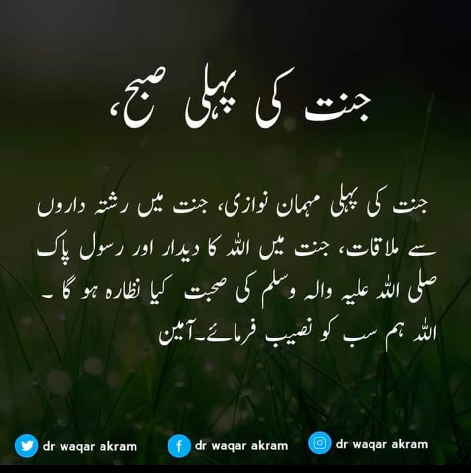 Rajo Rajoka